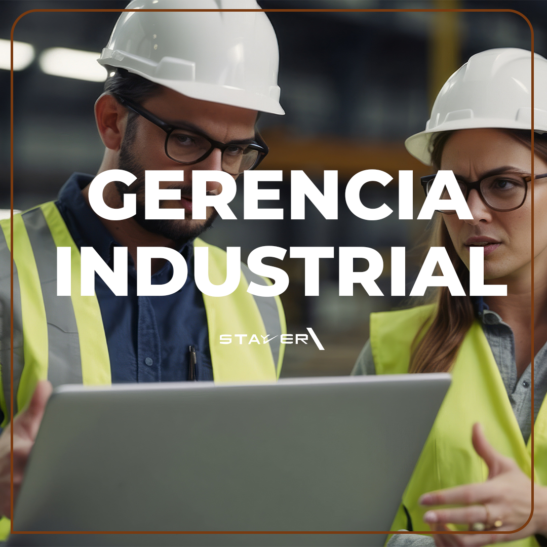 Categoría Gerencia Industrial